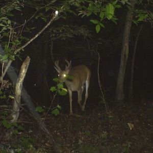 Meet your Posher, Jared